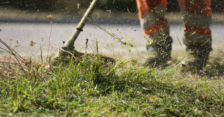 corte de grama em Feira de Santana